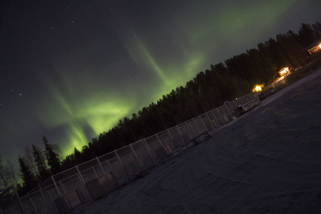 Northern lights dancing at Lappeasuando Lodge