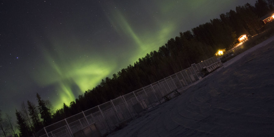 Northern lights dancing at Lappeasuando Lodge