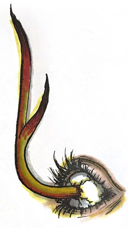 a drawing close-up of an eyeball, with a fungus growing out of the center of the pupil