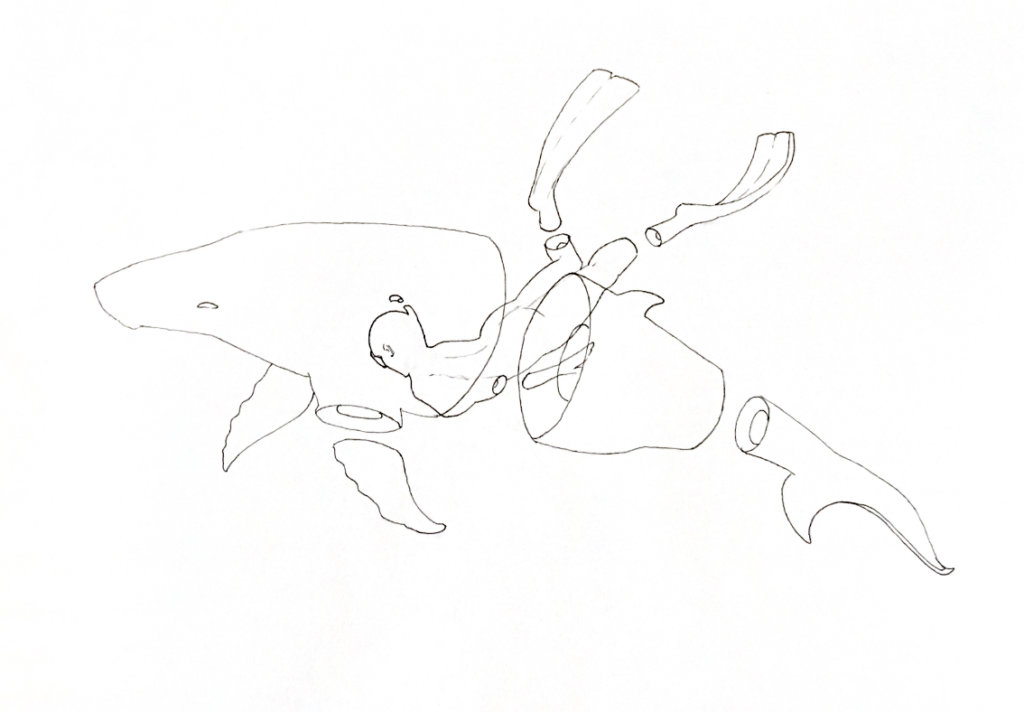 WIP drawing of a snorkeler next to a whale