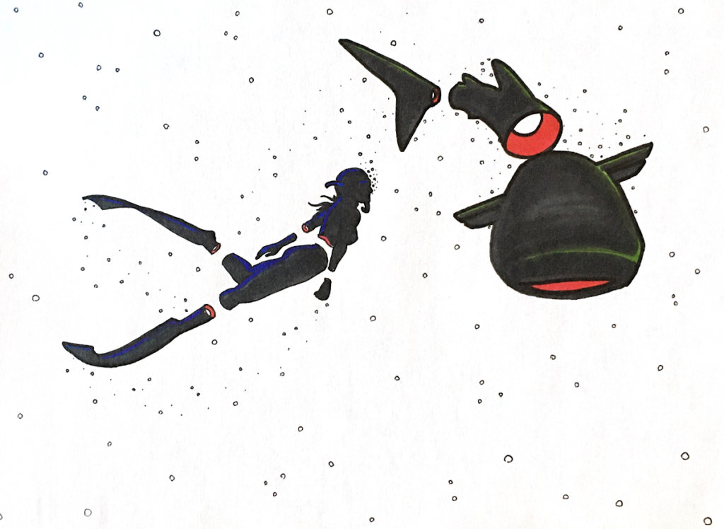 color drawing of a person snorkeling with a whale shark