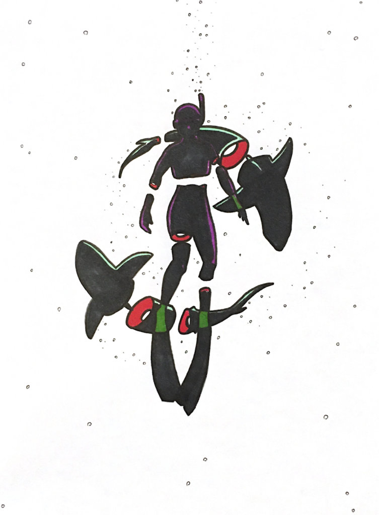 color drawing of a person snorkeling with two reef sharks