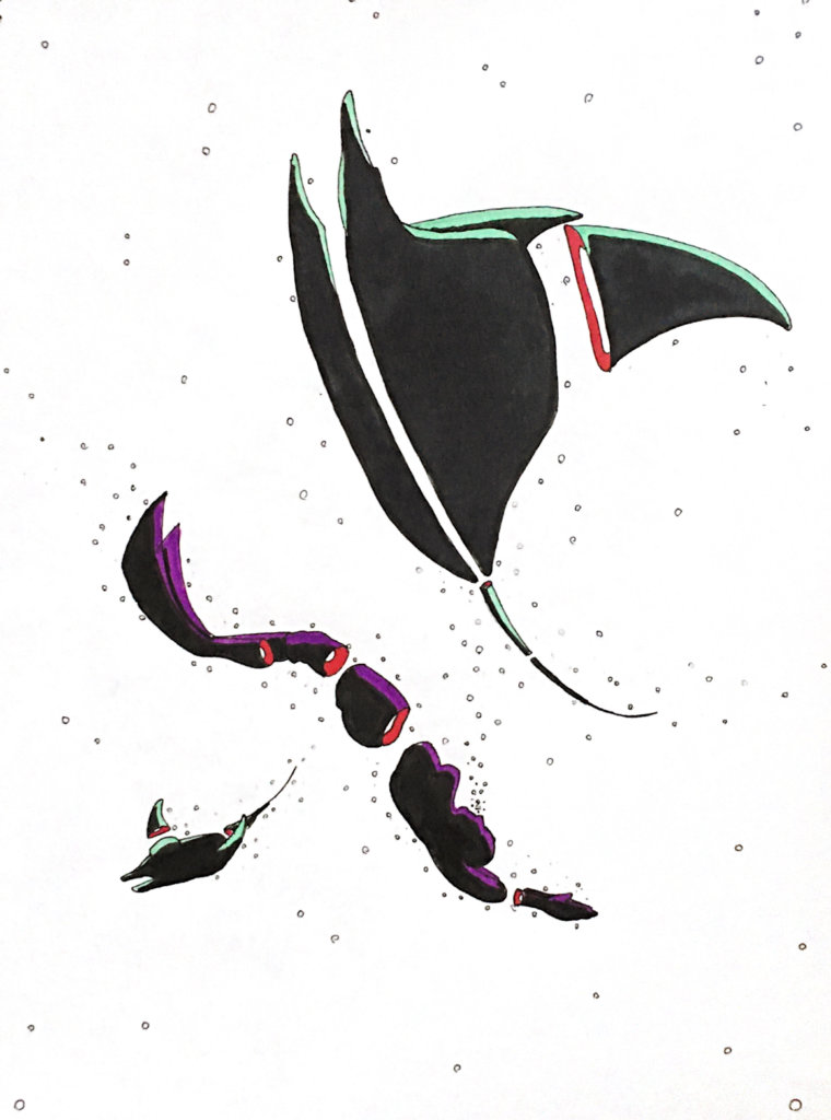 color drawing of a person free diving with two manta rays