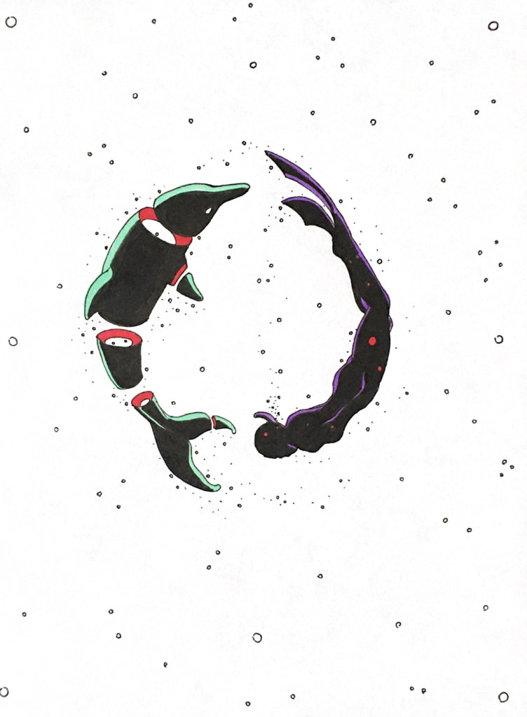 color drawing of a dolphin and human swimming around each other