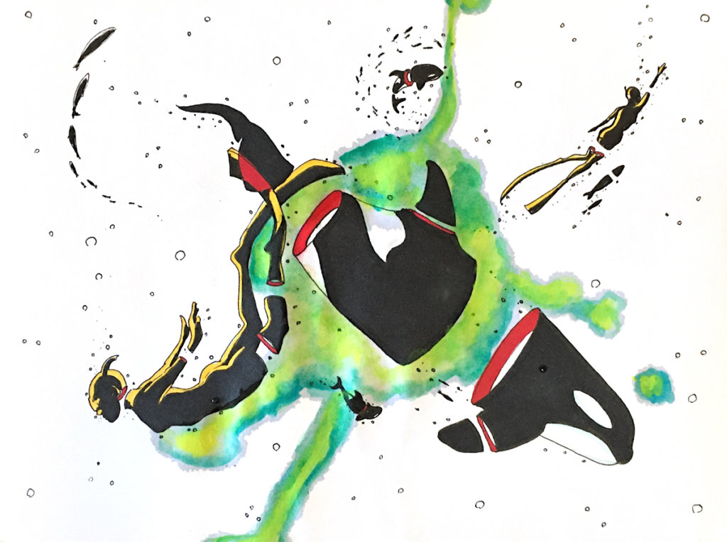 color drawing of a few orcas and snorkelers