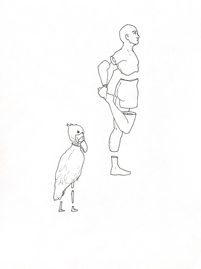 WIP drawing of a person stretching and a shoebill bird