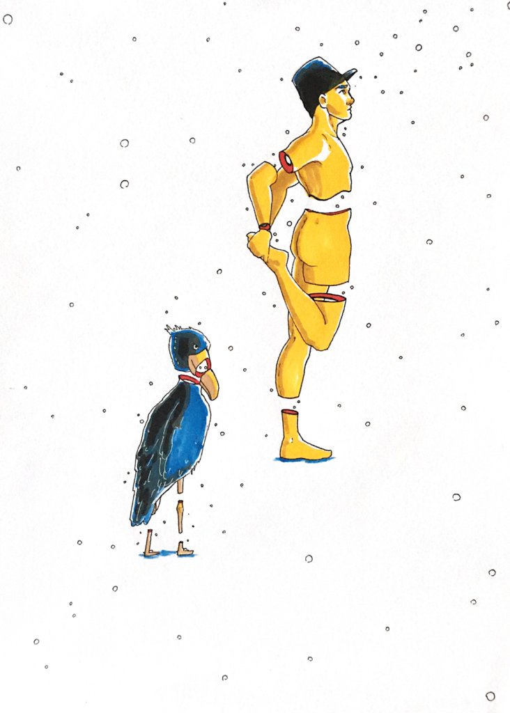 color drawing of a person stretching and a shoebill bird