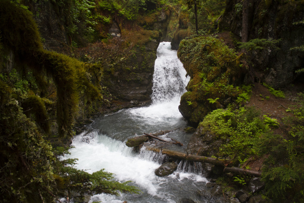 Virgin Creek Falls near Girdwood in Alaska