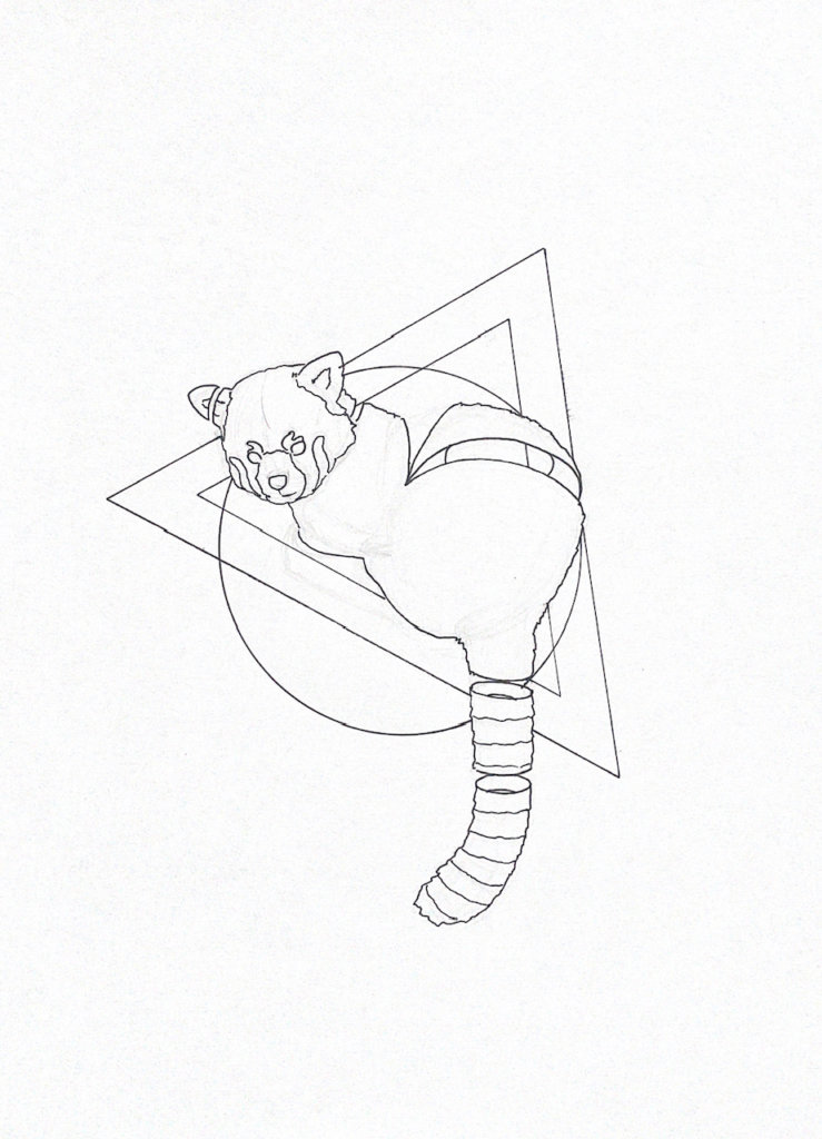 WIP drawing of a red panda