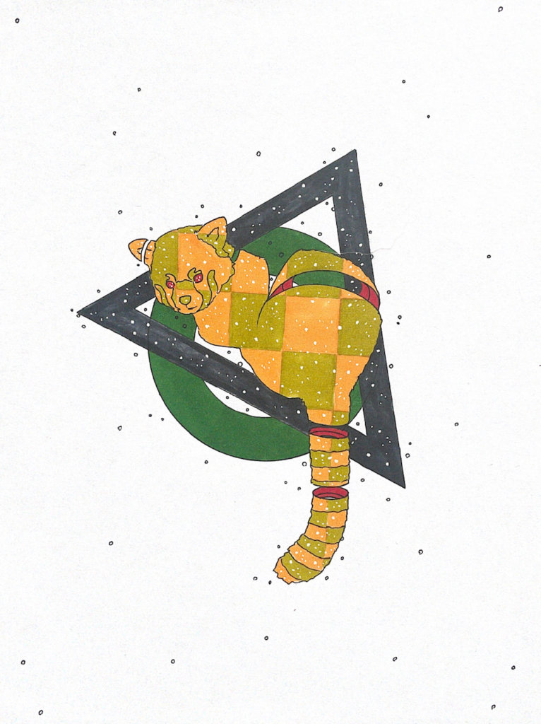 color drawing of a red panda