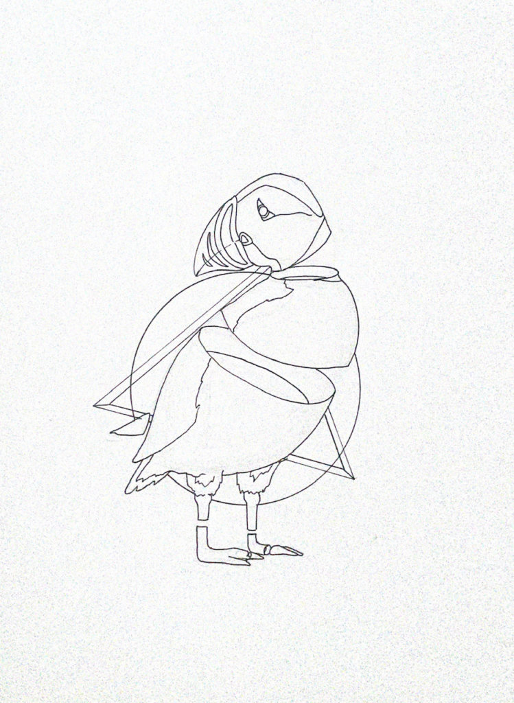 WIP drawing of a puffin
