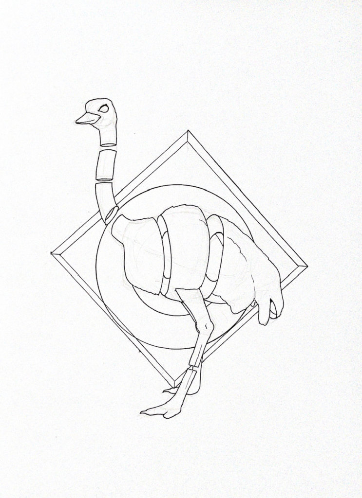 WIP drawing of an ostrich