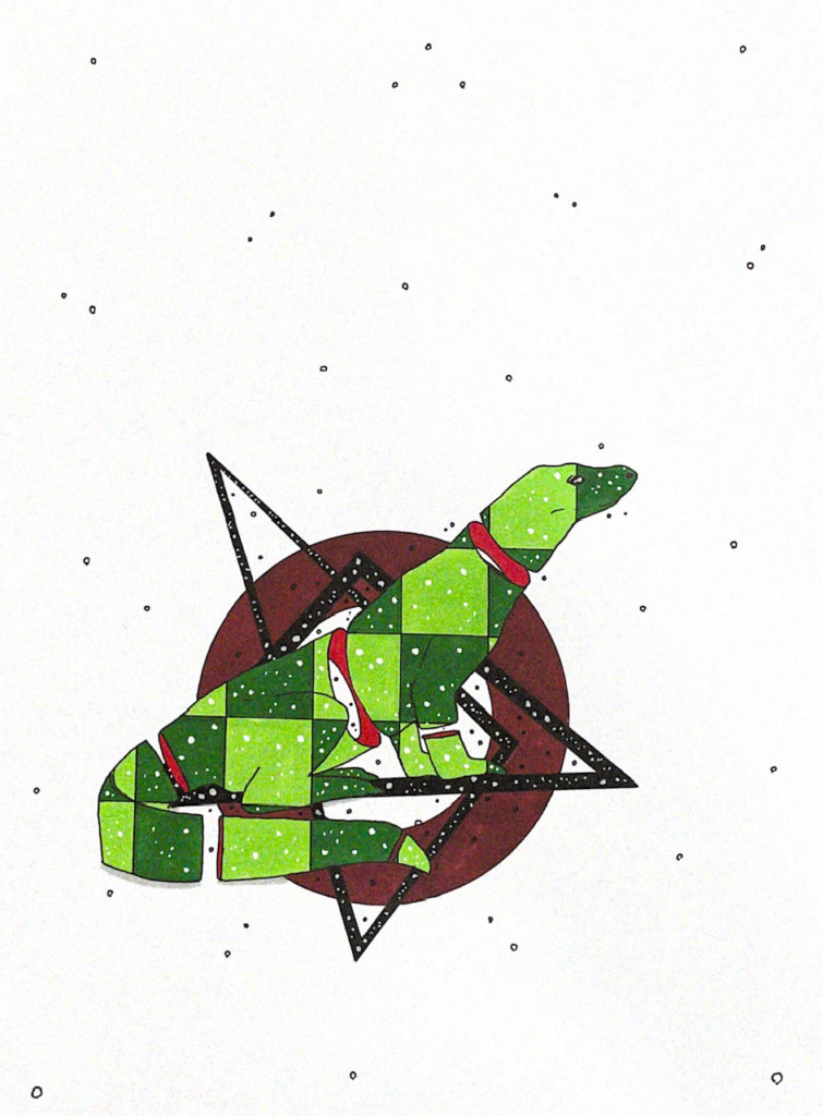 color drawing of a komodo dragon