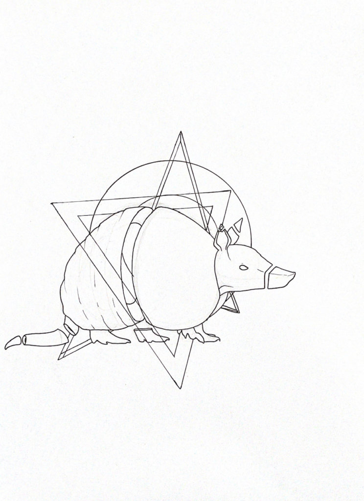 WIP drawing of an armadillo