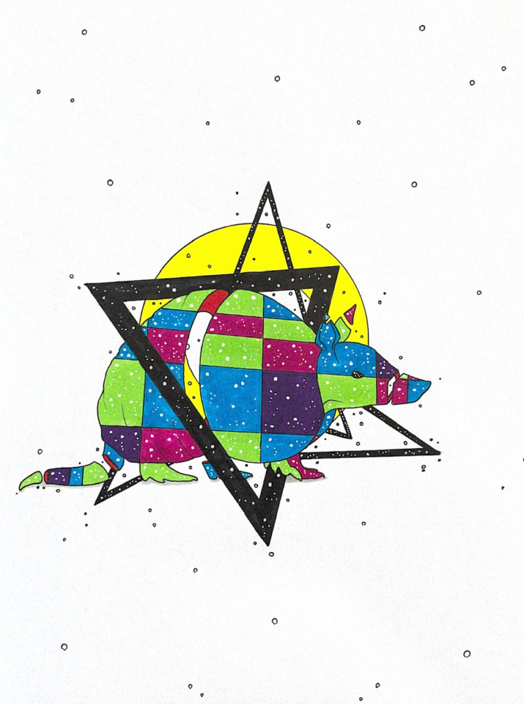 color drawing of an armadillo