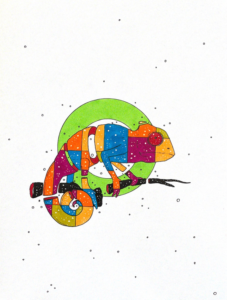 color drawing of a chameleon