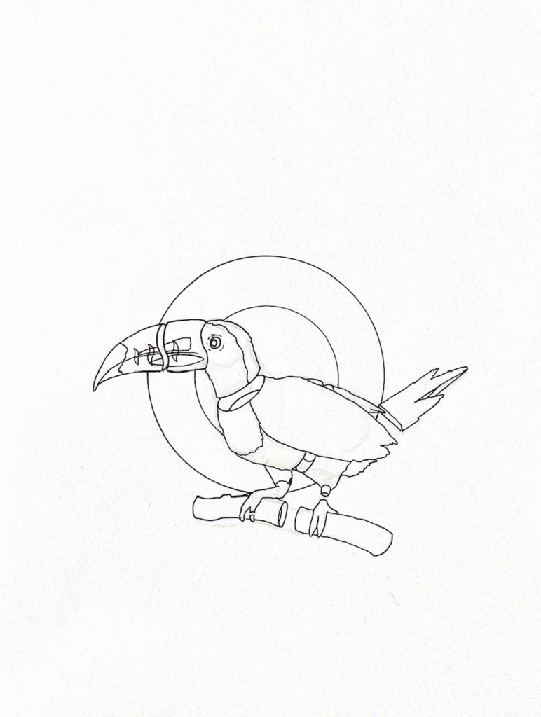 WIP drawing of a toucan