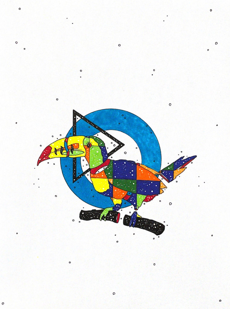 color drawing of a toucan