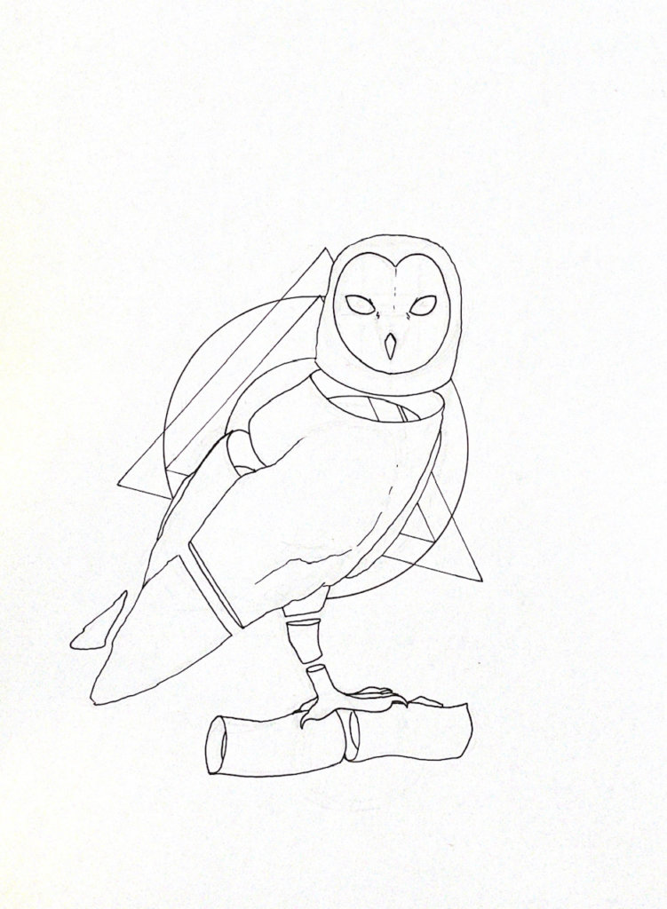 WIP drawing of a barn owl