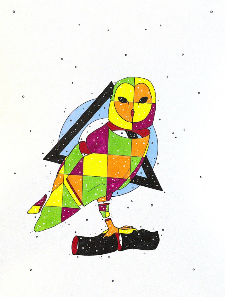 color drawing of a barn owl