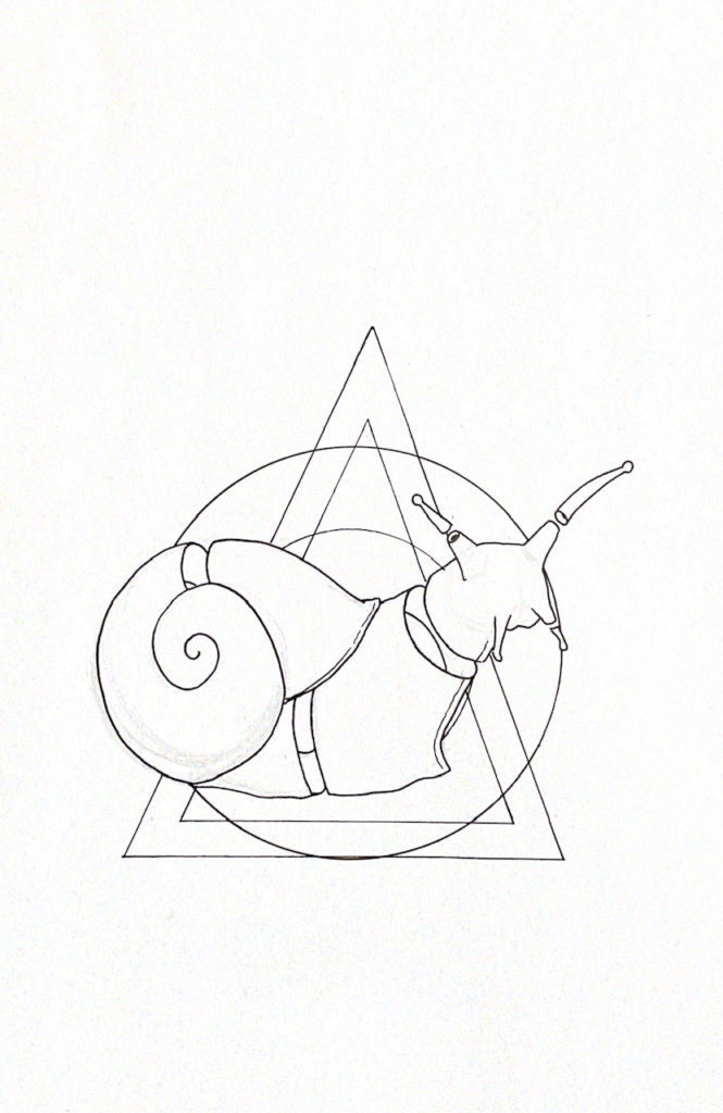 WIP drawing of a snail