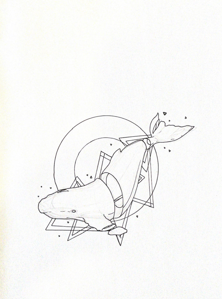 WIP drawing of a humpback