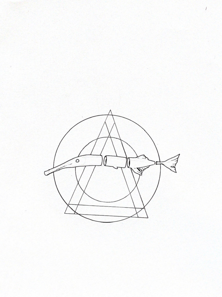 WIP illustration of a little fish