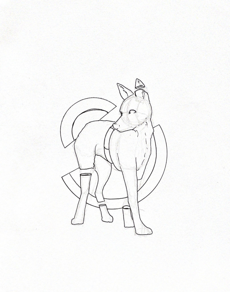 WIP illustration of a maned wolf