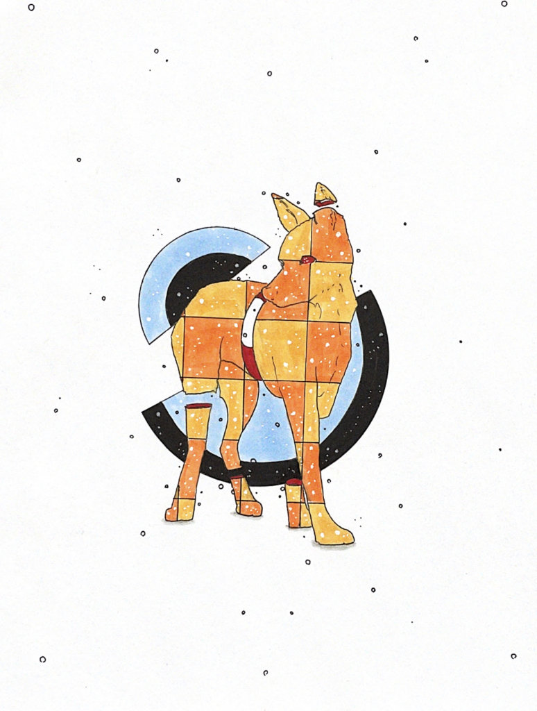 color illustration of a maned wolf