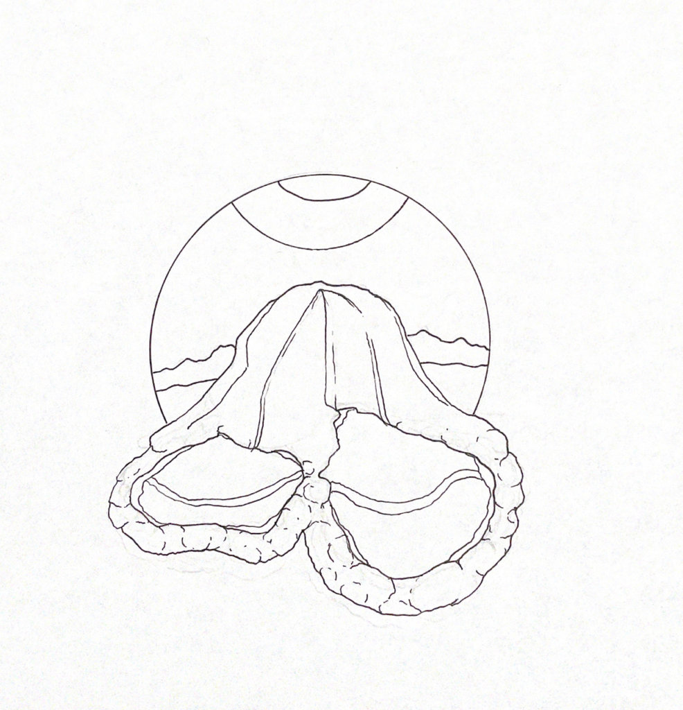 WIP illustration of some hot springs