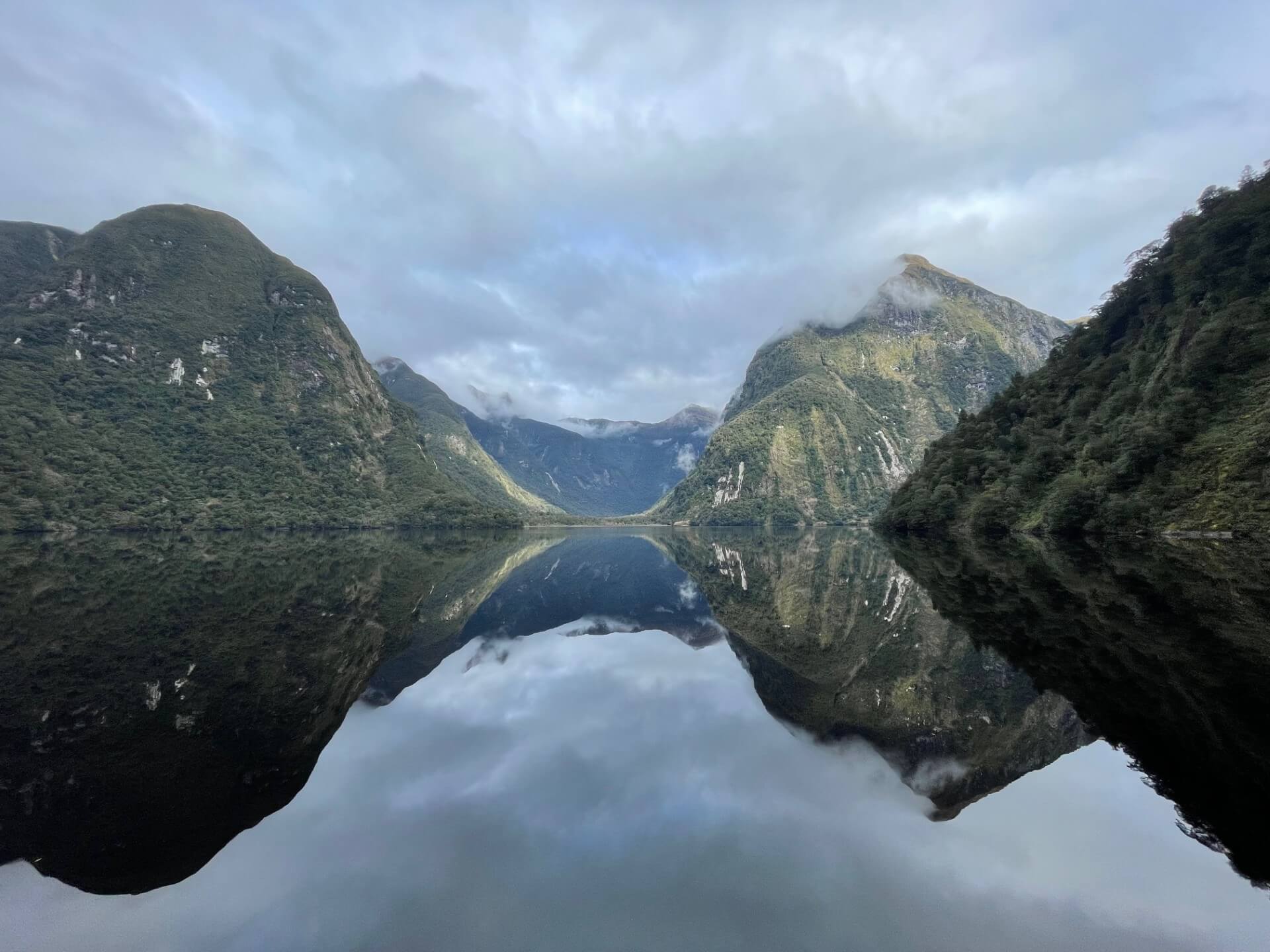 Doubtful Sound feat. the Fiordland Crested Penguin - steven robert